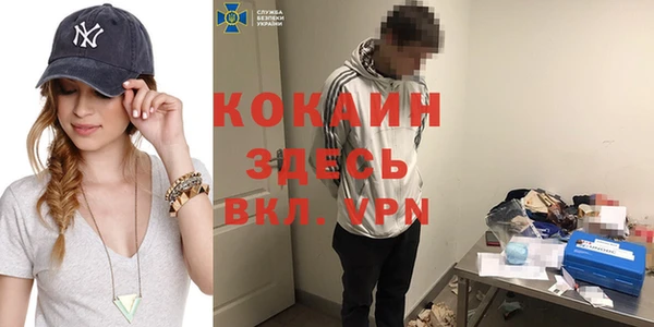 гашик Верея