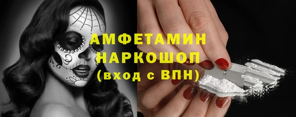гашик Верея