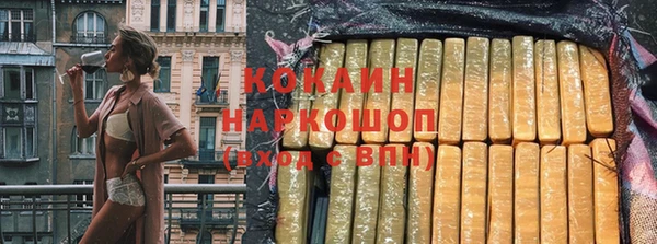 гашик Верея