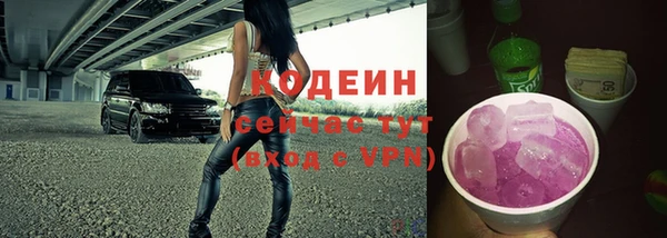 крисы Верхний Тагил