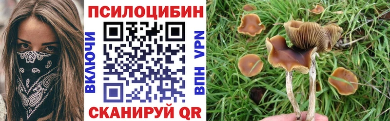 Галлюциногенные грибы Psilocybe  Купить закладки  Красноуральск 